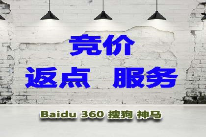 谷歌竞价案例：成功案例分析及启示